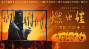 精品电影一区二区